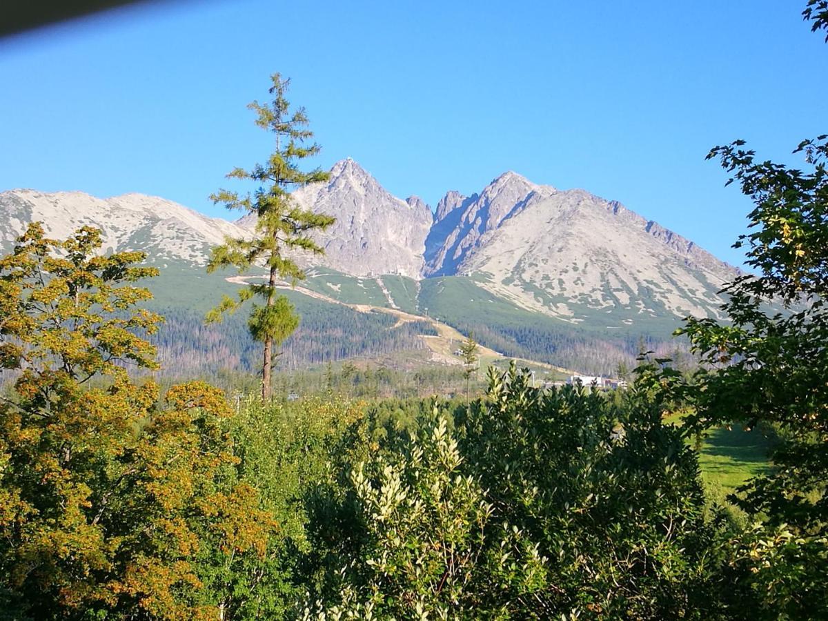 Apartman Marta, 200 M Ski Tatranská Lomnica Buitenkant foto